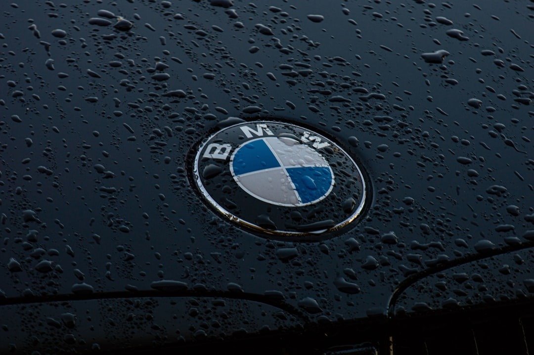 Silver BMW emblem on a wet black car hood.